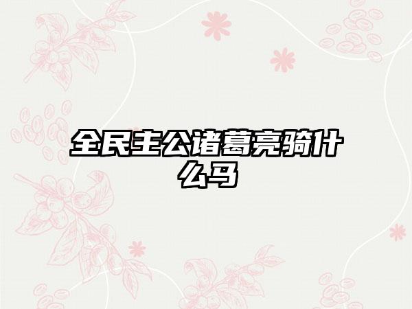 全民主公诸葛亮骑什么马