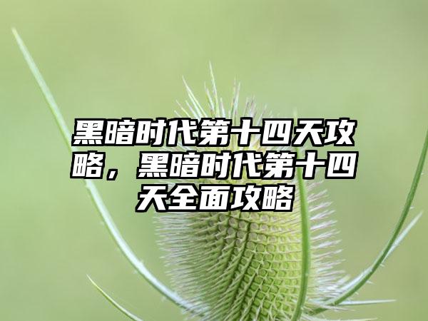 黑暗时代第十四天攻略，黑暗时代第十四天全面攻略