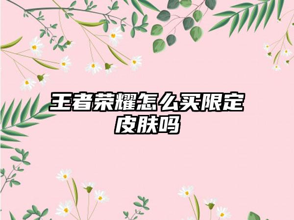 王者荣耀怎么买限定皮肤吗