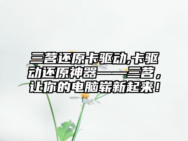 三茗还原卡驱动,卡驱动还原神器——三茗，让你的电脑崭新起来！