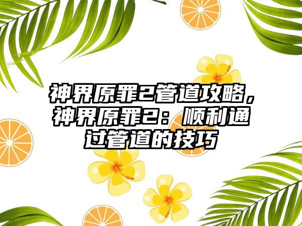 神界原罪2管道攻略，神界原罪2：顺利通过管道的技巧