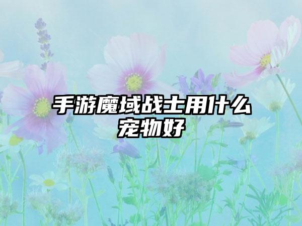 手游魔域战士用什么宠物好
