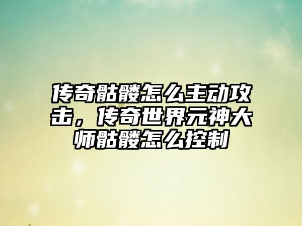 传奇骷髅怎么主动攻击，传奇世界元神大师骷髅怎么控制