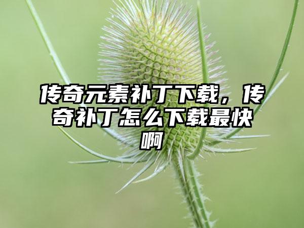 传奇元素补丁下载，传奇补丁怎么下载最快啊