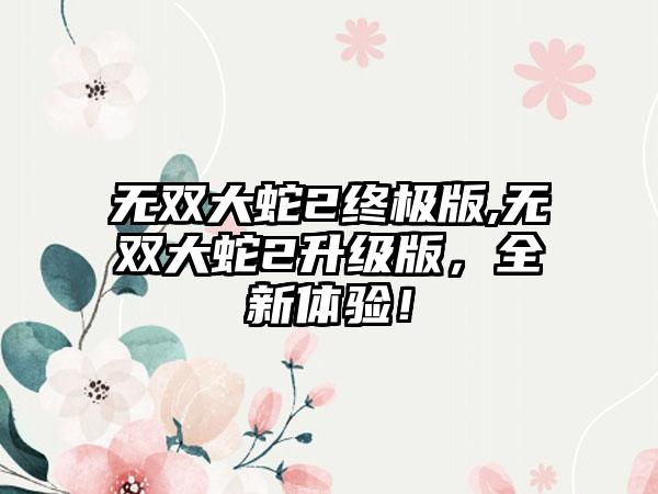 无双大蛇2终极版,无双大蛇2升级版，全新体验！
