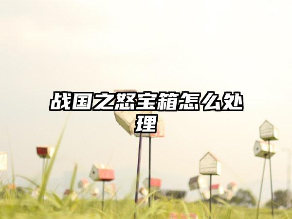 战国之怒宝箱怎么处理