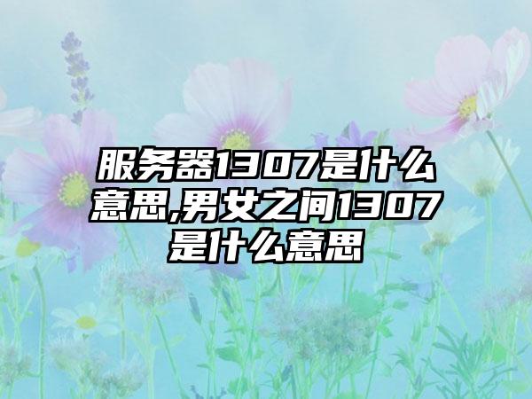 服务器1307是什么意思,男女之间1307是什么意思