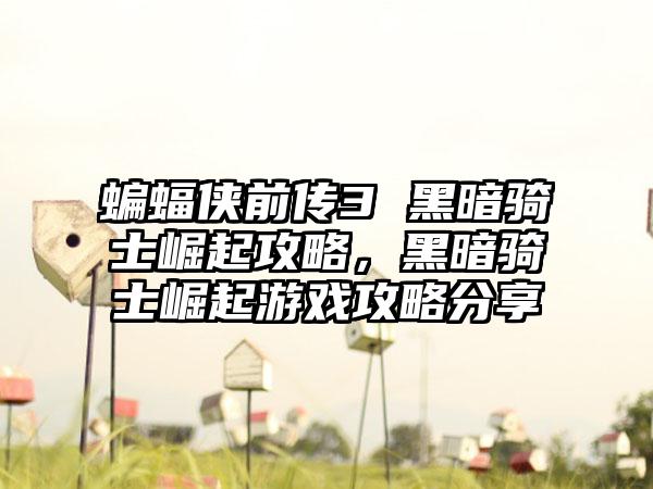 蝙蝠侠前传3 黑暗骑士崛起攻略，黑暗骑士崛起游戏攻略分享