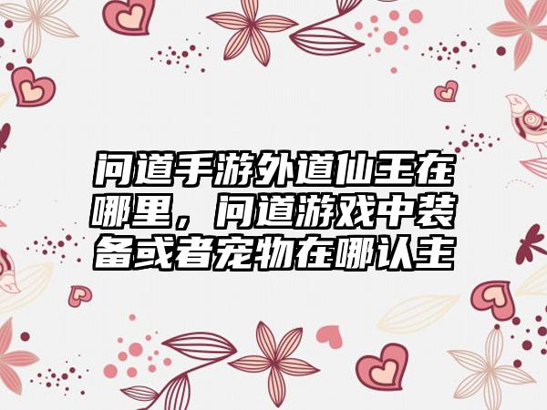 问道手游外道仙王在哪里，问道游戏中装备或者宠物在哪认主