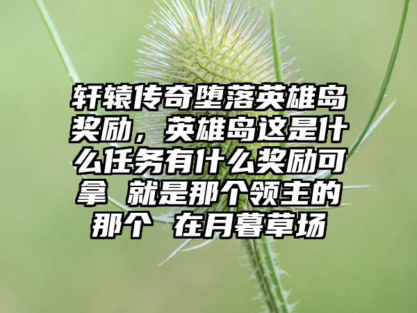 轩辕传奇堕落英雄岛奖励，英雄岛这是什么任务有什么奖励可拿 就是那个领主的那个 在月暮草场