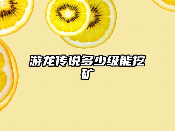 游龙传说多少级能挖矿