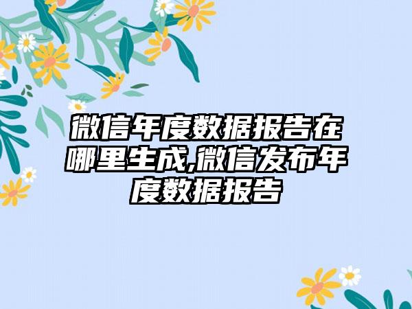 微信年度数据报告在哪里生成,微信发布年度数据报告