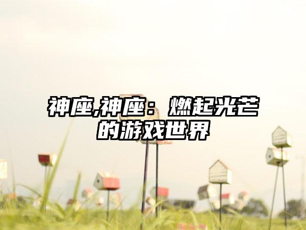 神座,神座：燃起光芒的游戏世界