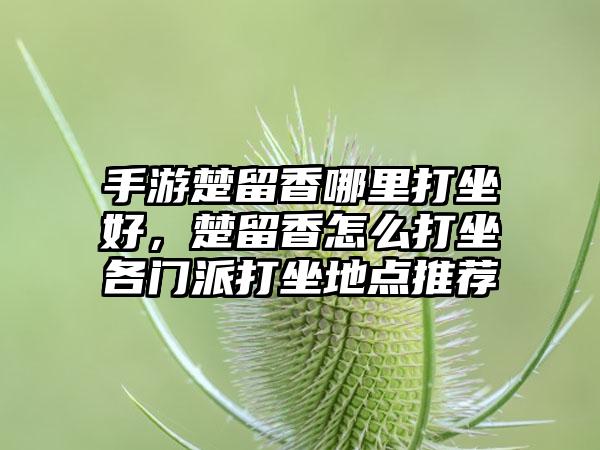 手游楚留香哪里打坐好，楚留香怎么打坐各门派打坐地点推荐