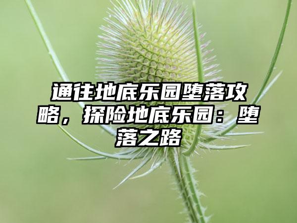 通往地底乐园堕落攻略，探险地底乐园：堕落之路