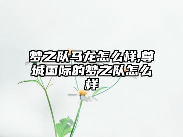 梦之队马龙怎么样,尊城国际的梦之队怎么样
