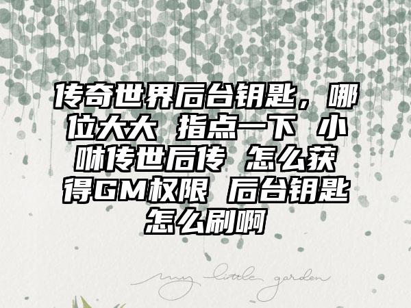 传奇世界后台钥匙，哪位大大 指点一下 小咻传世后传 怎么获得GM权限 后台钥匙怎么刷啊