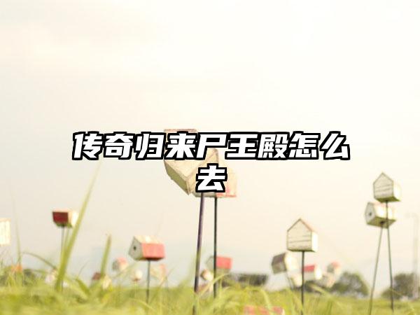 传奇归来尸王殿怎么去