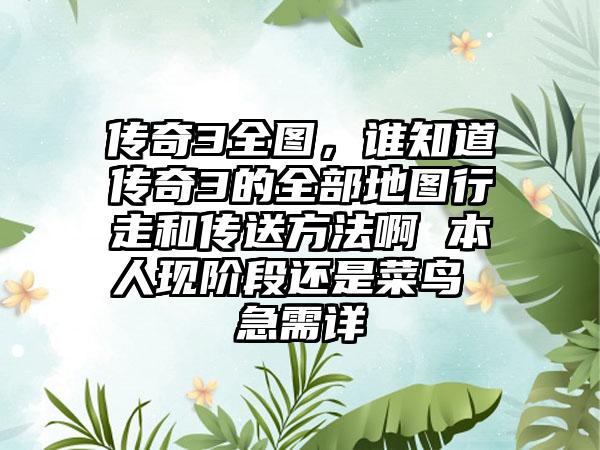 传奇3全图，谁知道传奇3的全部地图行走和传送方法啊 本人现阶段还是菜鸟 急需详