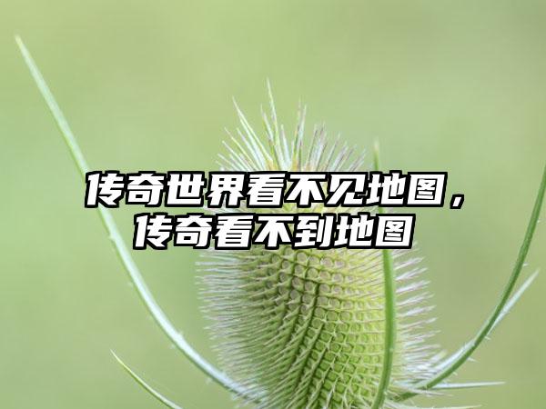 传奇世界看不见地图，传奇看不到地图