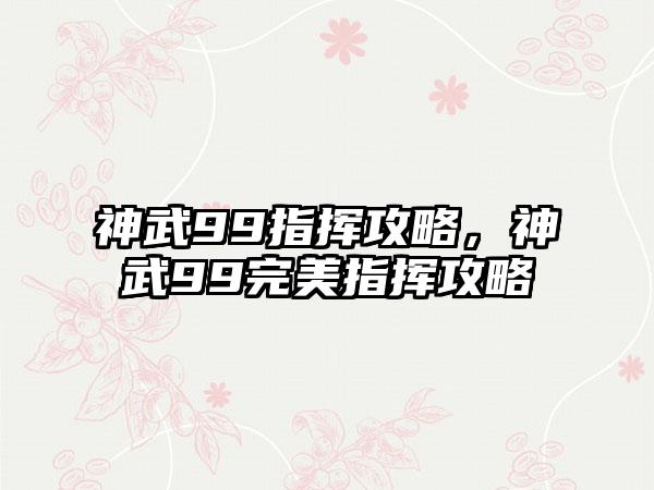 神武99指挥攻略，神武99完美指挥攻略