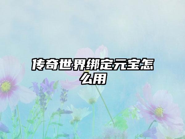 传奇世界绑定元宝怎么用