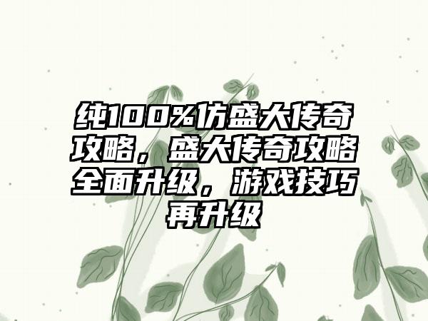 纯100%仿盛大传奇攻略，盛大传奇攻略全面升级，游戏技巧再升级
