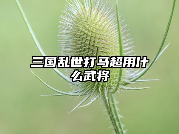 三国乱世打马超用什么武将