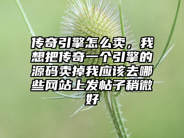 传奇引擎怎么卖，我想把传奇一个引擎的源码卖掉我应该去哪些网站上发帖子稍微好