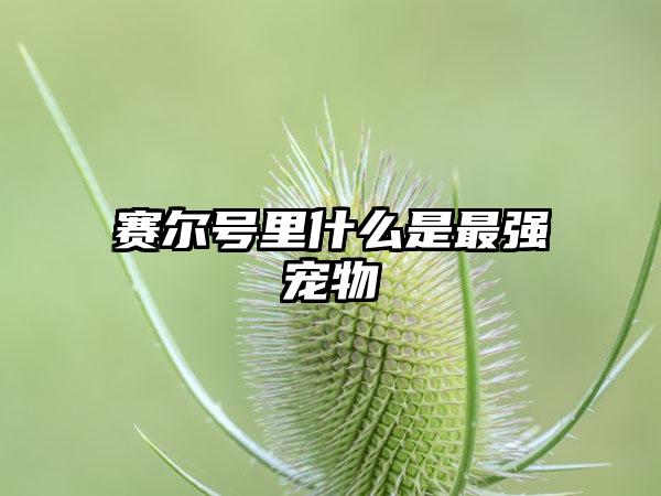 赛尔号里什么是最强宠物