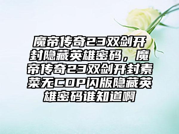 魔帝传奇23双剑开封隐藏英雄密码，魔帝传奇23双剑开封素菜无CDP闪版隐藏英雄密码谁知道啊