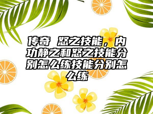 传奇 怒之技能，内功静之和怒之技能分别怎么练技能分别怎么练
