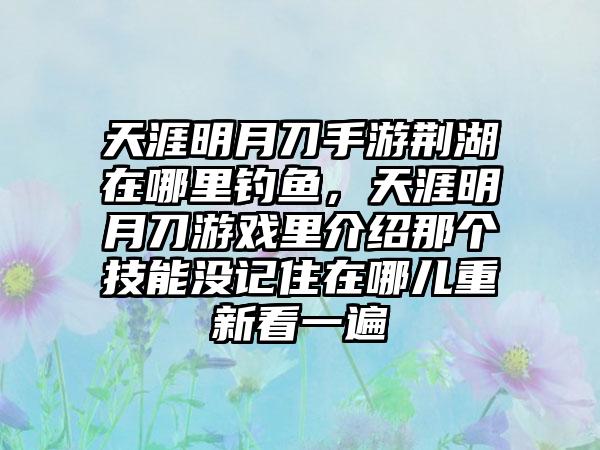 天涯明月刀手游荆湖在哪里钓鱼，天涯明月刀游戏里介绍那个技能没记住在哪儿重新看一遍