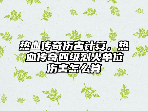 热血传奇伤害计算，热血传奇四级烈火单位伤害怎么算