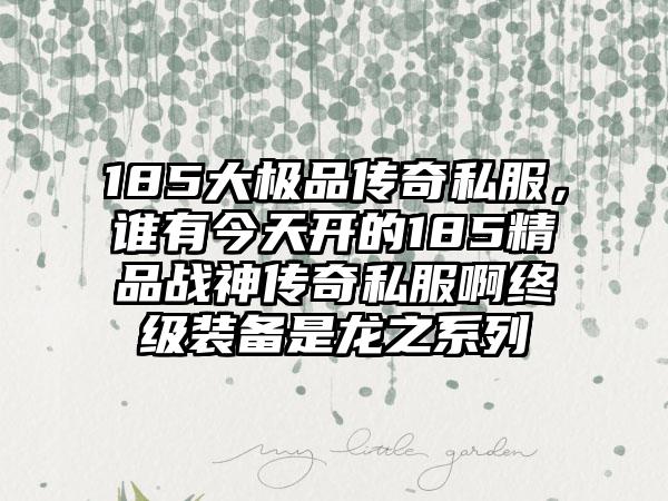 185大极品传奇私服，谁有今天开的185精品战神传奇私服啊终级装备是龙之系列