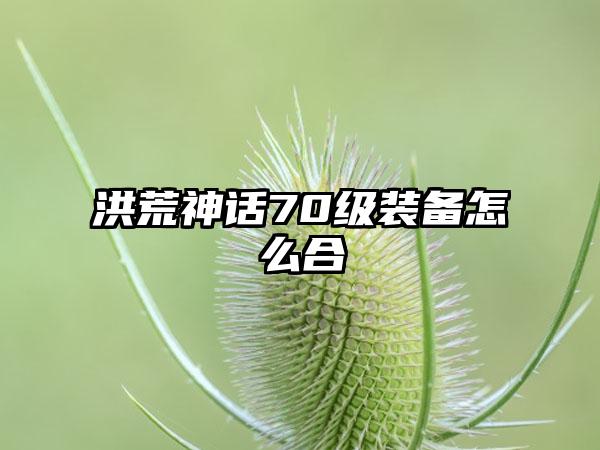 洪荒神话70级装备怎么合