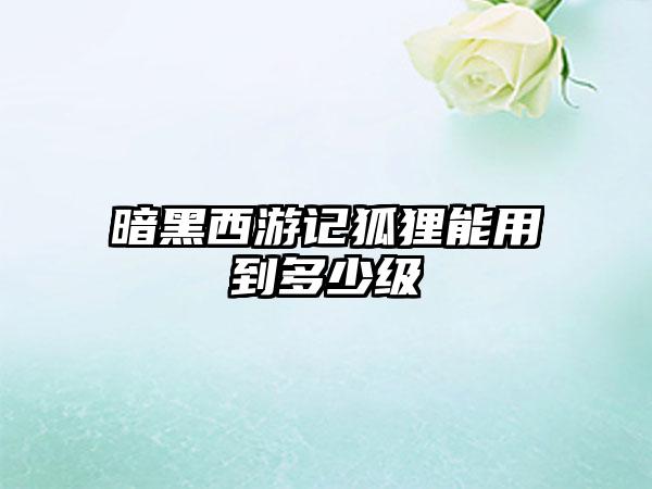 暗黑西游记狐狸能用到多少级