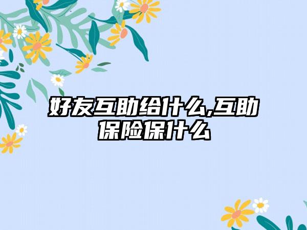 好友互助给什么,互助保险保什么