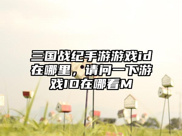 三国战纪手游游戏id在哪里，请问一下游戏ID在哪看M