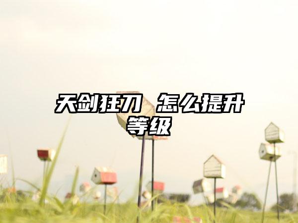 天剑狂刀 怎么提升等级