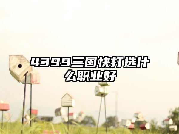 4399三国快打选什么职业好