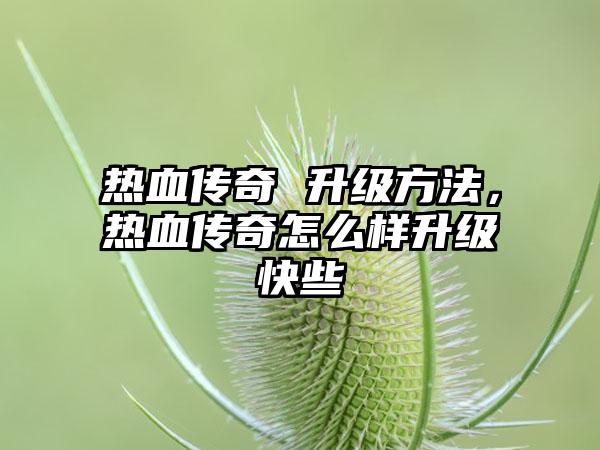 热血传奇 升级方法，热血传奇怎么样升级快些