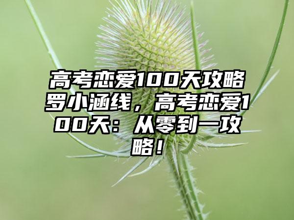 高考恋爱100天攻略罗小涵线，高考恋爱100天：从零到一攻略！