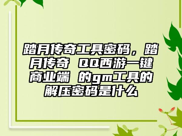 踏月传奇工具密码，踏月传奇 QQ西游一键商业端 的gm工具的解压密码是什么