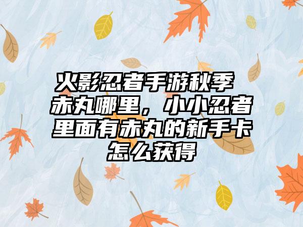 火影忍者手游秋季 赤丸哪里，小小忍者里面有赤丸的新手卡怎么获得
