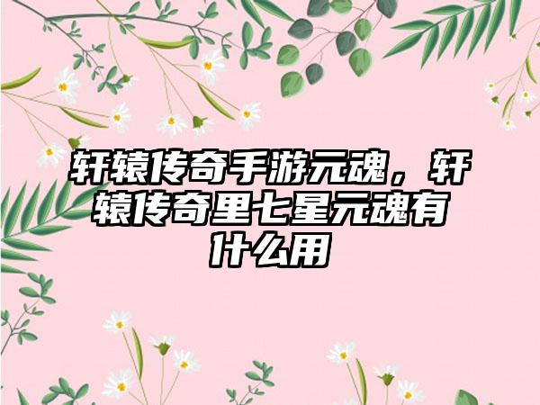 轩辕传奇手游元魂，轩辕传奇里七星元魂有什么用