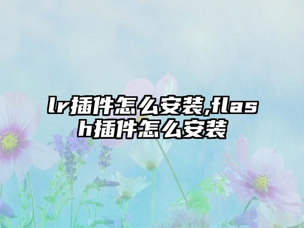 lr插件怎么安装,flash插件怎么安装