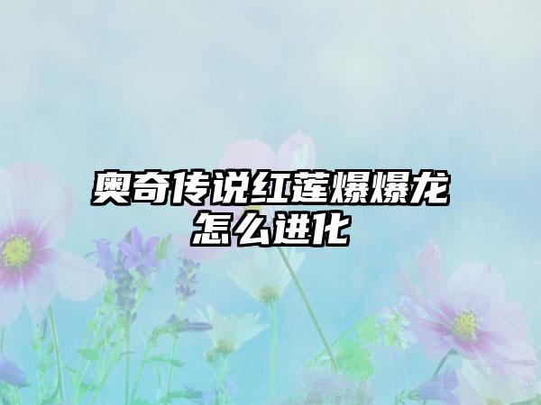 奥奇传说红莲爆爆龙怎么进化