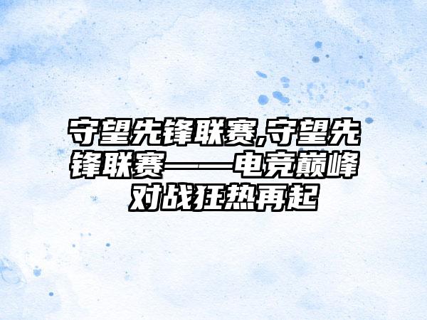 守望先锋联赛,守望先锋联赛——电竞巅峰 对战狂热再起