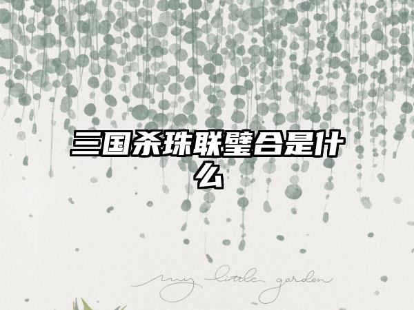 三国杀珠联璧合是什么
